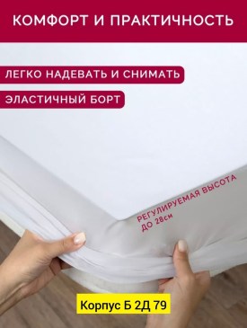 Одежда
