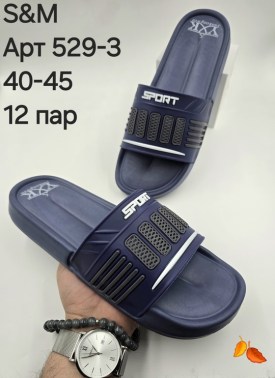 Сланцы