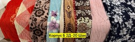 Одежда