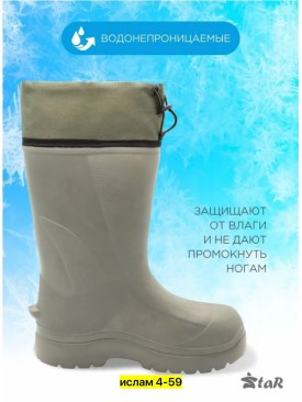 Одежда