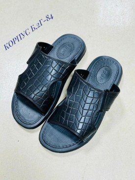 Сланцы
