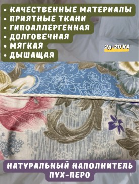 Одежда