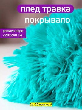 Одежда