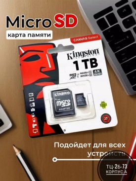 Одежда