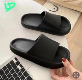 Сланцы