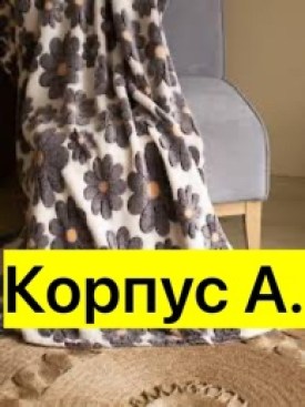 Одежда