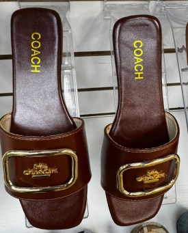 Сланцы