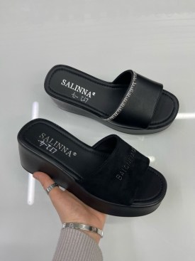 Сланцы