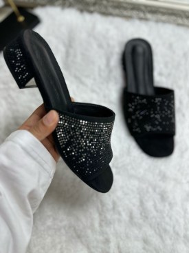 Сланцы