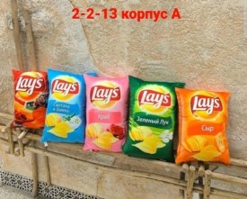 Одежда