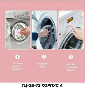 Одежда