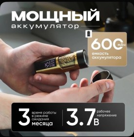 Одежда