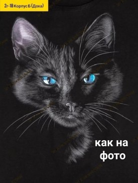 Туника