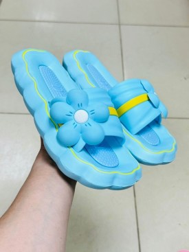 Сланцы