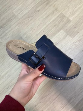 Сланцы
