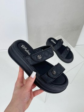 Сланцы