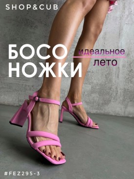 Одежда