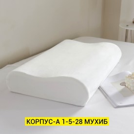 Одежда