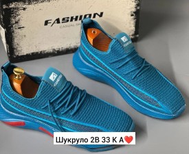 Одежда