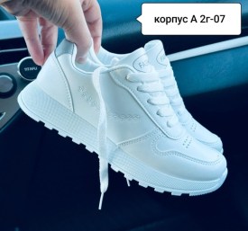 Одежда