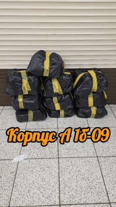 Одежда
