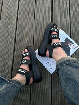 Одежда