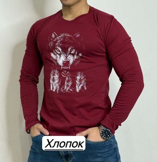 кофта мужской,свитшот джемпер,кофта для мужчин,лонгсливы мужские,джемпер для мужчин