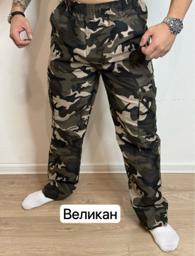 Брюки