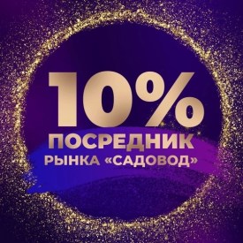 Одежда
