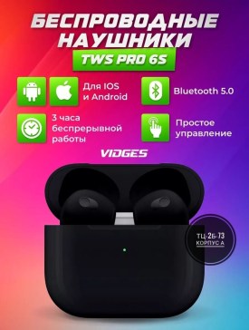 Одежда