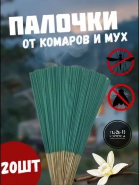 Одежда