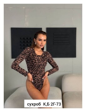 Боди