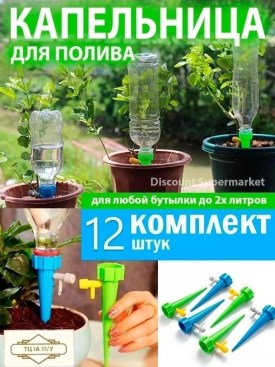 Одежда