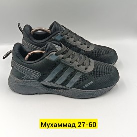 Одежда