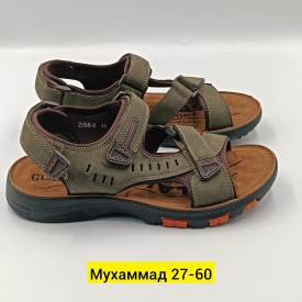 Одежда