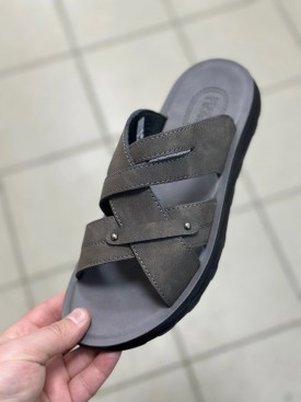 Сланцы