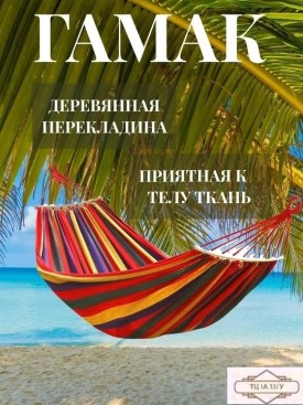 Одежда