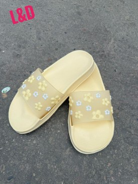 Сланцы
