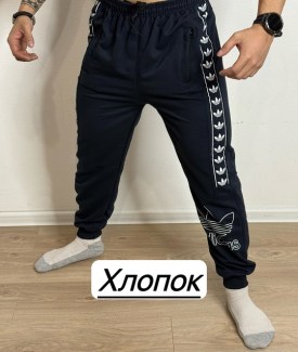 Брюки