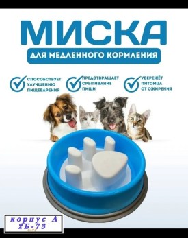 Одежда