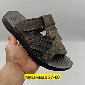 Сланцы