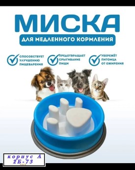 Одежда