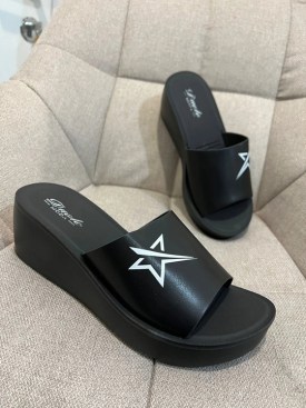 Сланцы