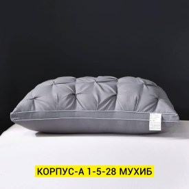 Одежда