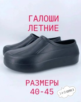 Одежда