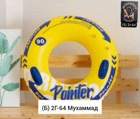 Одежда