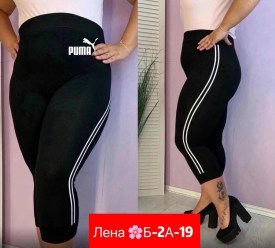 Лосины