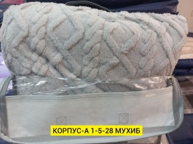 Одежда