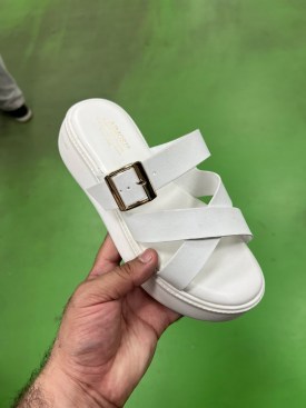Сланцы