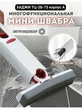 Одежда